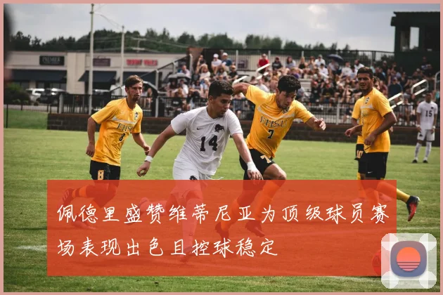 佩德里盛赞维蒂尼亚为顶级球员赛场表现出色且控球稳定
