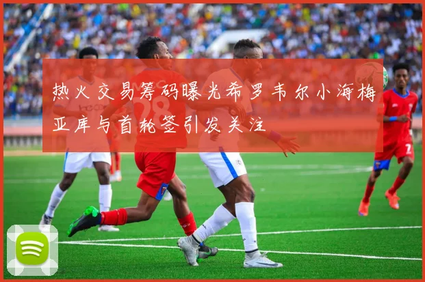 热火交易筹码曝光希罗韦尔小海梅亚库与首轮签引发关注
